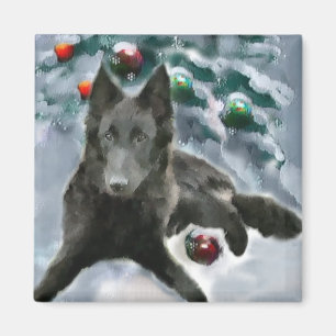 Belgische kerstcadeautjes bij Sheepdog Magneet
