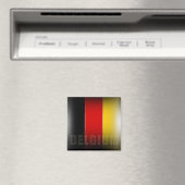 Belgische magneet (Insitu (Vaatwasser))