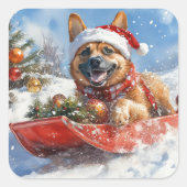 Belgische Malinoi in Sledge Laat het Sneeuw Kerstm Vierkante Sticker (Voorkant)