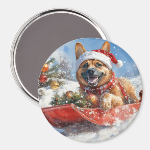 Belgische Malinoi in slee Laat het sneeuwen Kerstm Magneet