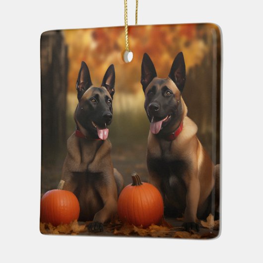 Belgische Malinoi Puppy Herfst Delight Pompoen Keramisch Ornament (Links)