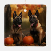 Belgische Malinoi Puppy Herfst Delight Pompoen Keramisch Ornament (Achterkant)