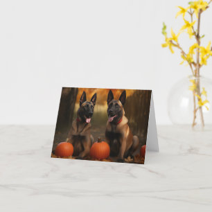 Belgische Malinoi Puppy Herfst Plezier Pompoen Kaart