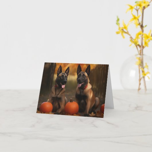 Belgische Malinoi Puppy Herfstpracht Pompoen Kaart (Gele Bloem)