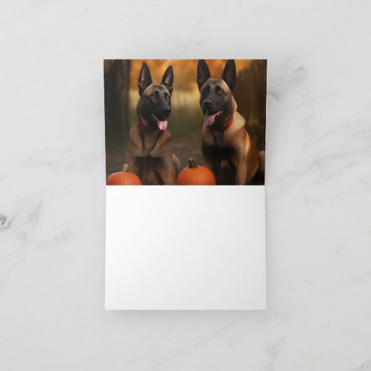 Belgische Malinoi Puppy Herfstpracht Pompoen Kaart (Binnen)