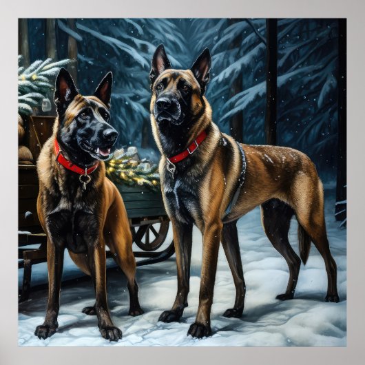 Belgische Malinoi Sneeuwslee Kerstdecoratie Poster (Voorkant)