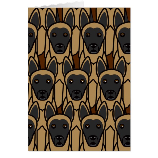 Belgische Malinois (Voorkant)