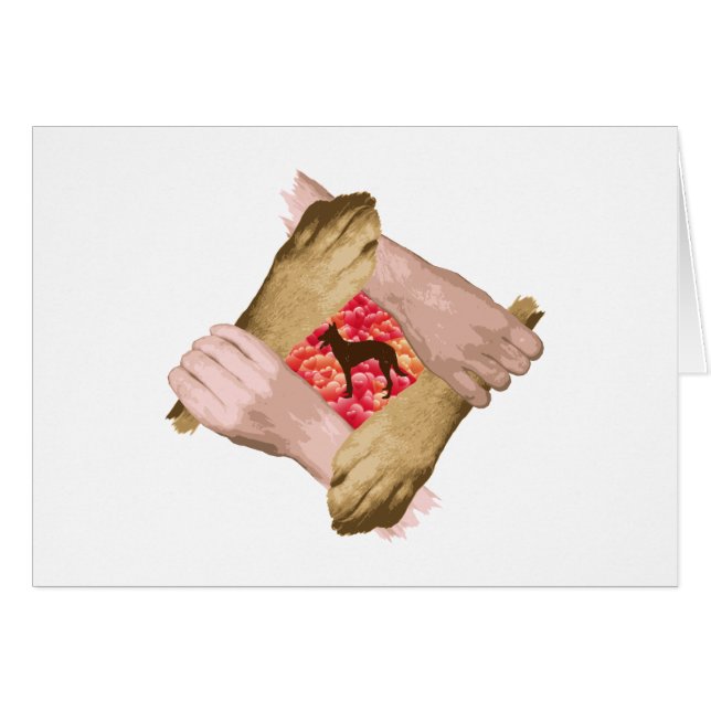 Belgische Malinois (Voorkant Horizontaal)