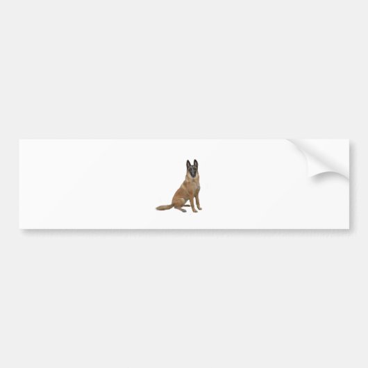 Belgische Malinois (A) Bumpersticker (Voorkant)