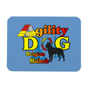 Belgische Malinois Agility Magneet