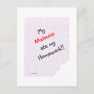 Belgische Malinois at mijn huiswerk Briefkaart