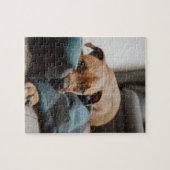 Belgische Malinois Boxer | Puppy op banketfoto Legpuzzel (Horizontaal)
