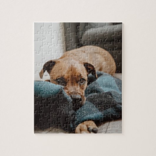 Belgische Malinois Boxer | Puppy op banketfoto Legpuzzel (Verticaal)