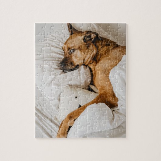 Belgische Malinois Boxer | Schattige Lazy Dog-foto Legpuzzel (Verticaal)