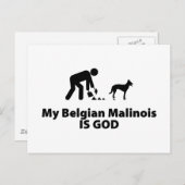 Belgische Malinois Briefkaart (Voorkant / Achterkant)