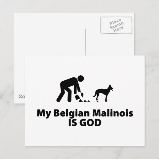Belgische Malinois Briefkaart (Voorkant / Achterkant)