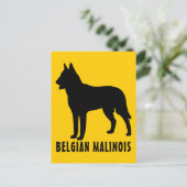 Belgische Malinois Briefkaart (Staand voorkant)