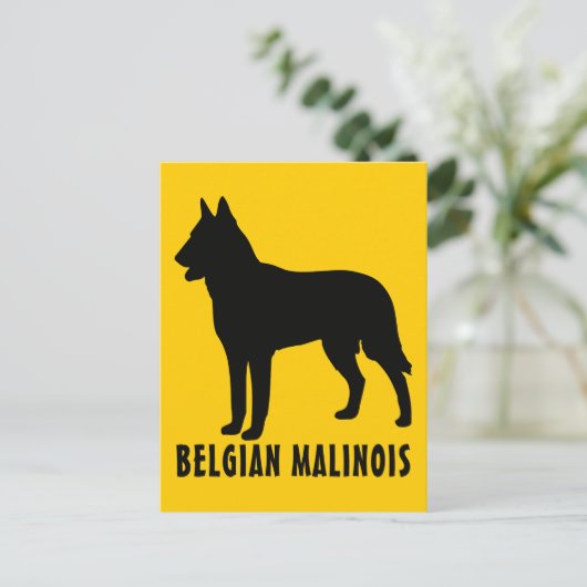 Belgische Malinois Briefkaart (Staand voorkant)