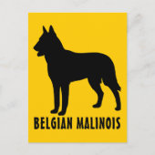 Belgische Malinois Briefkaart (Voorkant)