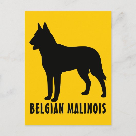 Belgische Malinois Briefkaart (Voorkant)