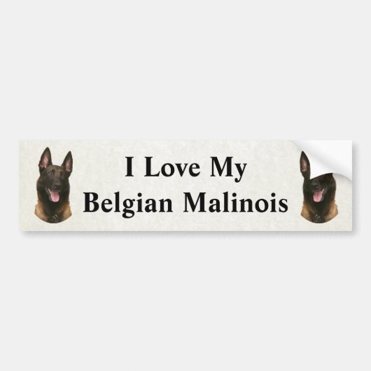 belgische malinois bumpersticker (Voorkant)
