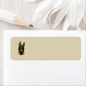 belgische malinois etiket (Insitu)