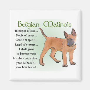 Belgische Malinois Gifts Magneet
