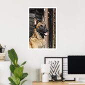 Belgische Malinois Guard Dog Poster (Thuiskantoor)