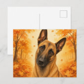 Belgische Malinois Herfst Bos Hond Briefkaart (Voorkant / Achterkant)