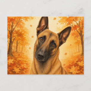 Belgische Malinois Herfst Bos Hond Briefkaart