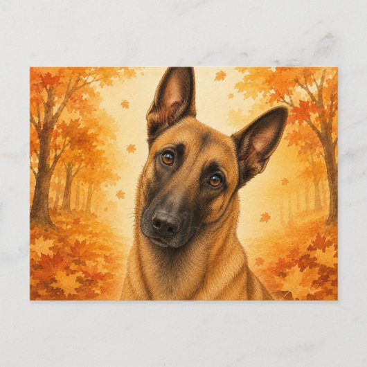 Belgische Malinois Herfst Bos Hond Briefkaart (Voorkant)