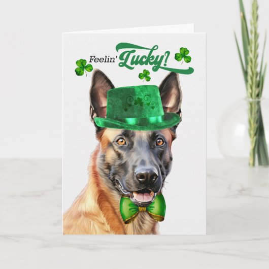 Belgische Malinois Hond Gelukkig St. Patrick's Dag Feestdagen Kaart (Voorkant)