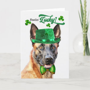 Belgische Malinois Hond Gelukkig St. Patrick's Dag Feestdagen Kaart