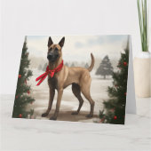 Belgische Malinois Hond in Sneeuw Kerstmis Kaart (Voorkant)