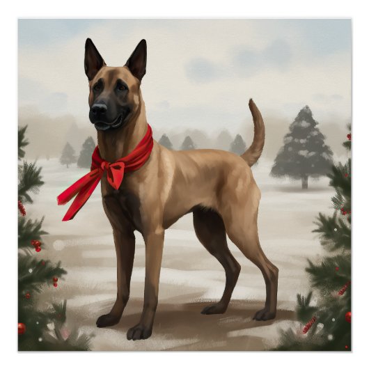 Belgische Malinois Hond in Sneeuw Kerstmis Perfect Poster (Voorkant)
