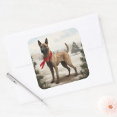 Belgische Malinois Hond in Sneeuw Kerstmis Vierkante Sticker (Envelop)