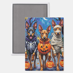 Belgische Malinois-honden gaan langs voor trick-or Magneet
