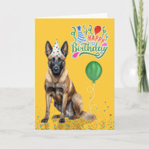 Belgische Malinois in feesthoed op gele verjaardag