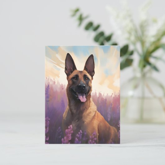 Belgische Malinois in Lavendelveld Briefkaart (Staand voorkant)
