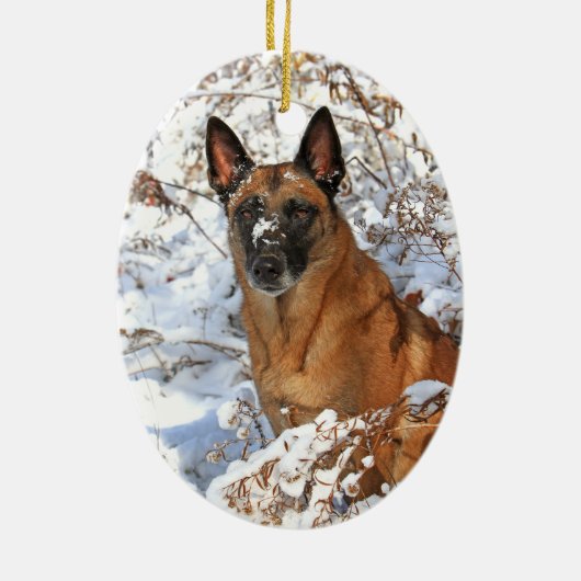 Belgische Malinois in sneeuwversiering Keramisch Ornament (Achterkant)