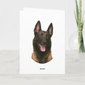 belgische malinois kaart (Achterkant)