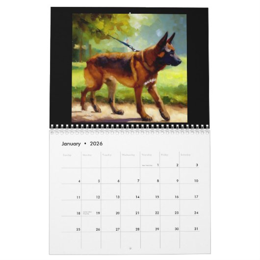 Belgische Malinois Kalender (Jan 2026)