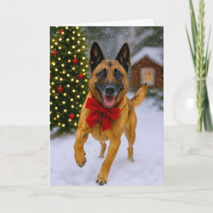 Belgische Malinois Kerstkaart Feestdagen Kaart