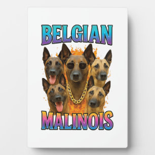 Belgische Malinois Kopie Fotoplaat