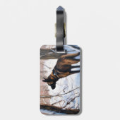 Belgische Malinois Laat Het Sneeuw Kerstmis Bagagelabel (Achterkant verticaal)