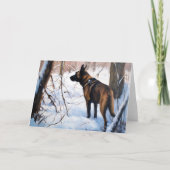 Belgische Malinois Laat Het Sneeuw Kerstmis Kaart (Voorkant)