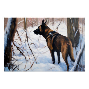 Belgische Malinois Laat Het Sneeuw Kerstmis Perfect Poster