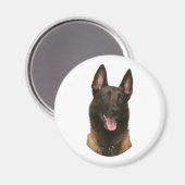 belgische malinois magneet (Voorkant / Achterkant)