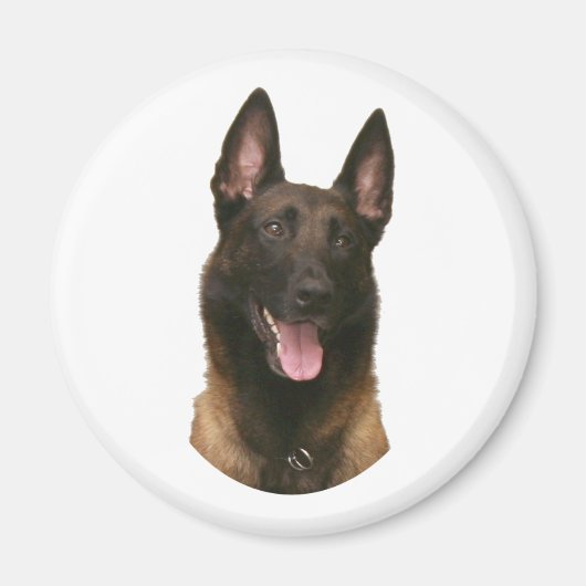 belgische malinois magneet (Voorkant)