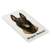 belgische malinois magneet (Rechterzijde)